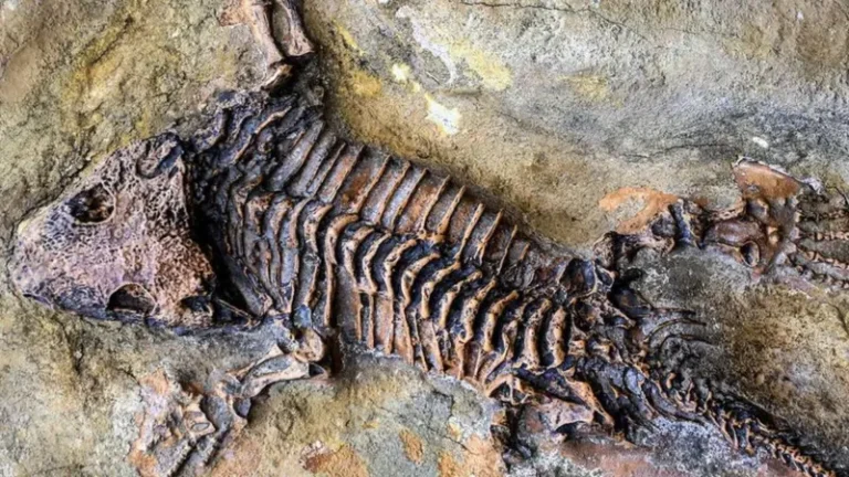 RADIOMETRIC DATING AND THE RETRACTED ARTICLE : AN AUTOPSY